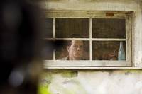 Кадр Явление