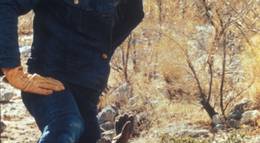 Кадр из фильма "Электрический всадник" - 1