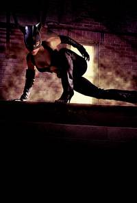 Постер Женщина-кошка