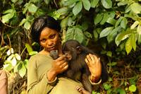 Кадр Бонобо