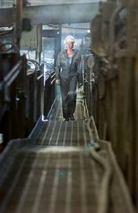 Кадр Северная страна