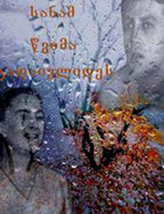 Пока пройдет осенний дождь