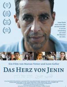 Сердце Дженин