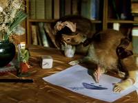 Кадр Бибигон