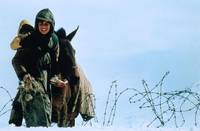 Кадр Время пьяных лошадей