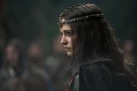 Кадр Камелот