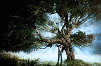 Кадр Голос луны