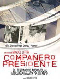 Превратности метода