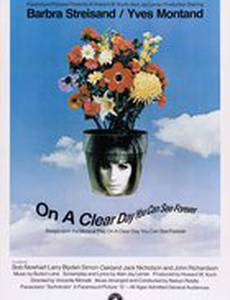 В ясный день увидишь вечность