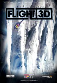 Постер Искусство полета 3D