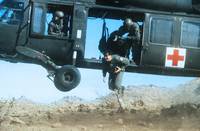 Кадр Огненные птицы