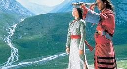 Кадр из фильма "Крадущийся тигр, затаившийся дракон" - 2