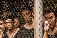 Кадр Расчлененка