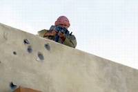 Кадр Королевство