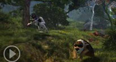 Международный тизер