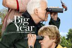 Большой год