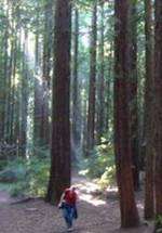 Роланд Тек фото