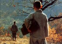 Кадр Почему Бодхидхарма ушел на Восток?