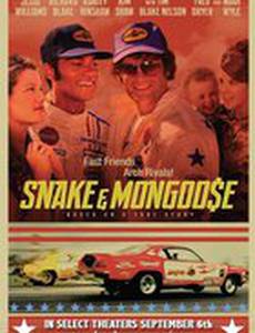 Змея и Мангуст