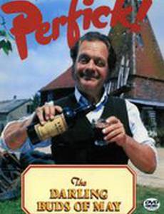 Нежные майские цветы