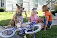 Кадр Благодаря Винн Дикси