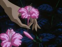 Кадр Манускрипт ниндзя