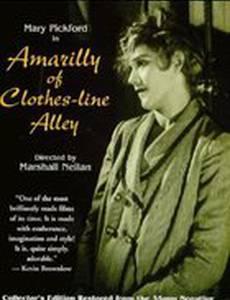 Амарилли с аллеи Клозес-Лайн