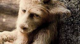 Кадр из фильма "Там, где живут чудовища" - 2