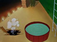 Кадр Кролик ныряющий с высоты