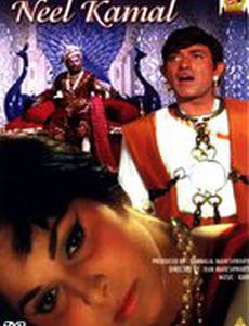 Голубой лотос