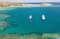 Кадр Золото дураков