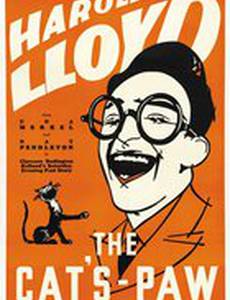 Кошачья лапа