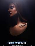 Постер из фильма "Дивергент" - 1