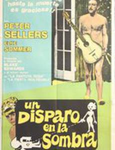 Выстрел в темноте