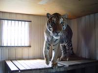 Кадр Мизинец Будды