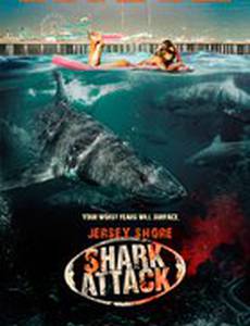 Нападение акул на Нью-Джерси