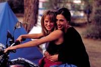 Кадр Рыжая белка