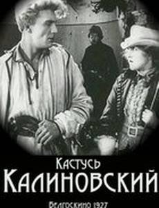Кастусь Калиновский