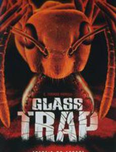 Стеклянный муравейник