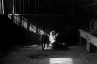 Кадр Свадебная ваза