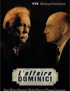 Дело Доминичи