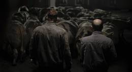 Кадр из фильма "Бычара" - 1