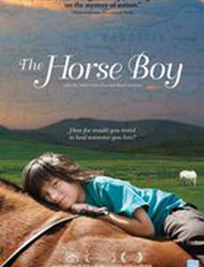 Мальчик и лошади