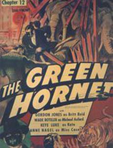 Зеленый Шершень