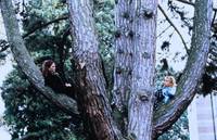 Кадр Один среди женщин