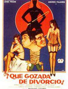 ¡Qué gozada de divorcio!