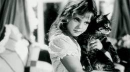 Кадр из фильма "Кошачий глаз" - 1