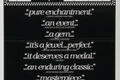 Пурпурная роза Каира