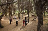 Кадр Всемогущие Джонсоны