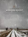 Постер из фильма "Зимняя спячка" - 1